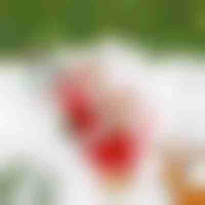 Άγιος Βασίλης που σκαρφαλώνει SANTACLIMB