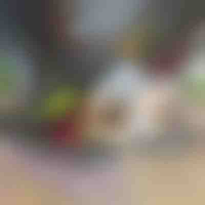 12 σε 1 τεμαχιστής & κόφτης λαχανικών | CHOPMASTER