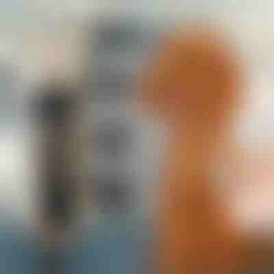 Σετ κουρευτικής μηχανής για κατοικίδια | GULAMACHINE