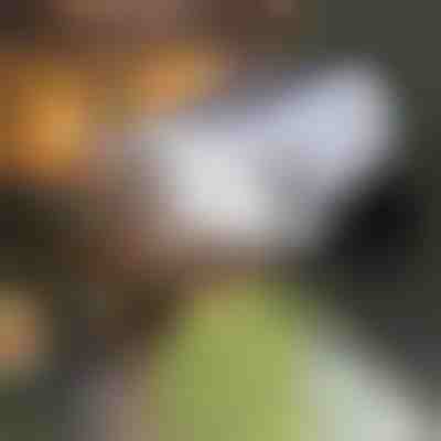 Αισθητήρας κίνησης | LUMACAM