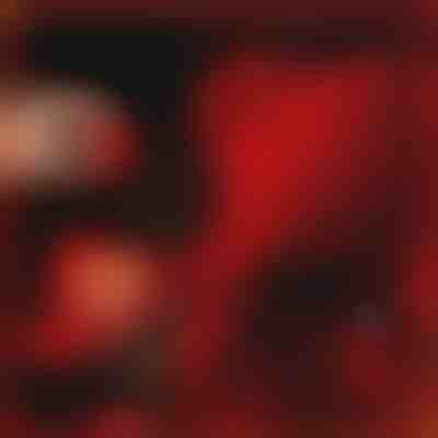 Το Δώρο που Μιλάει Αγάπη | LOVEBEAR