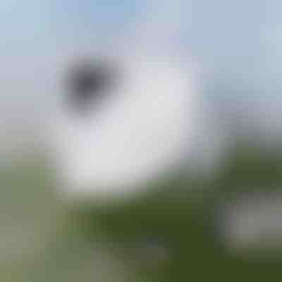 Αβίαστος καθαρισμός παραθύρων | WINDOWSWIPE